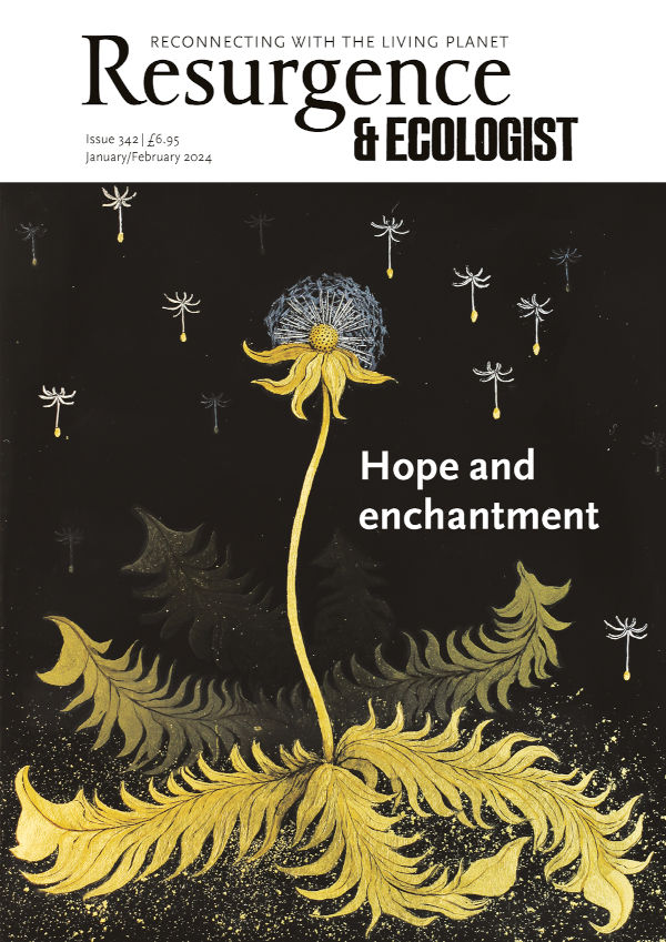 Resurgence & Ecologist issue cover 342