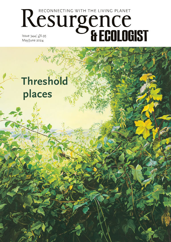 Resurgence & Ecologist issue cover 344