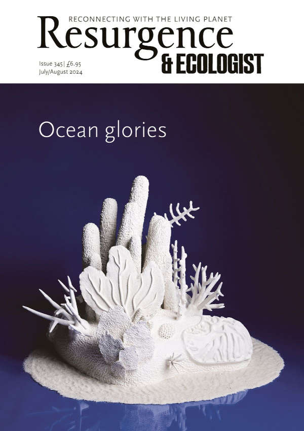 issue cover 345
