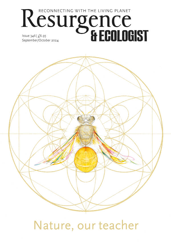 issue cover 346