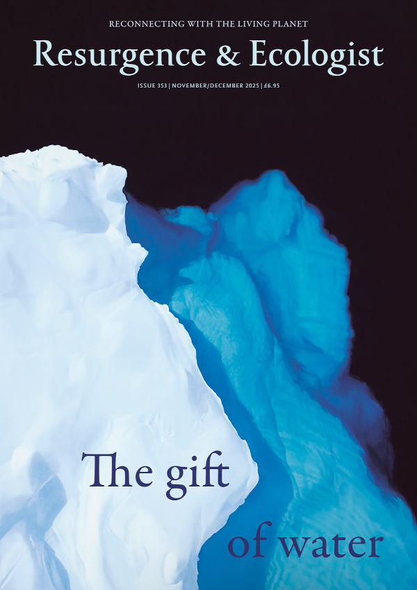 issue cover 353