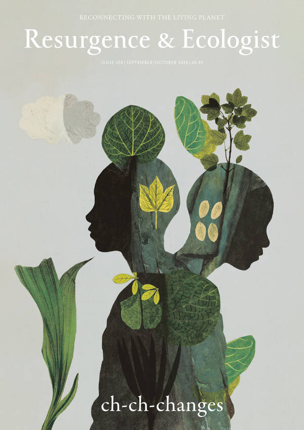 issue cover 358