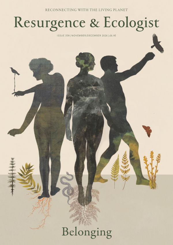 issue cover 359
