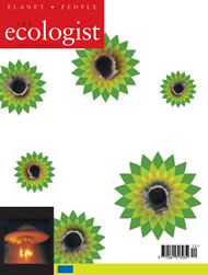 Cover of Ecologist issue 2002-12