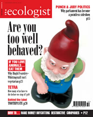 Cover of Ecologist issue 2004-10