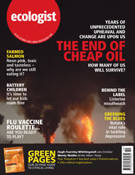 Cover of Ecologist issue 2005-10