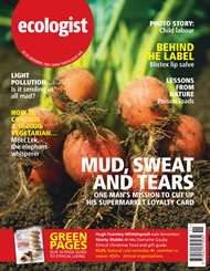 Cover of Ecologist issue 2005-11