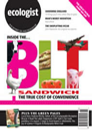 Cover of Ecologist issue 2006-09