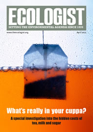 Cover of Ecologist issue 2011-05s