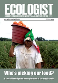Cover of Ecologist issue 2011-10s