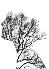 Nature and Imagination