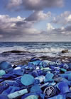 Five Steps to Save Our Seas