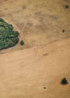 The World is Waking Up as Disaster Looms