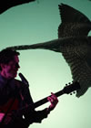 The Bird of Passage