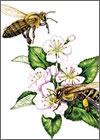 Bee Inspired