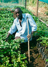 Growing Self-sufficiency in Uganda