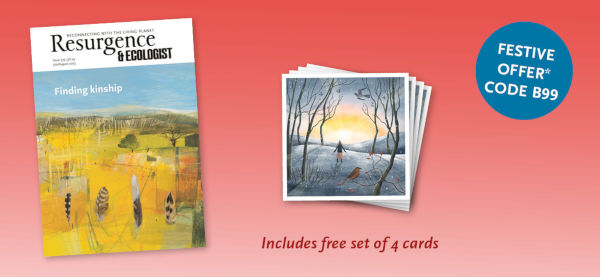 Give a gift of hope and inspiration this Christmas