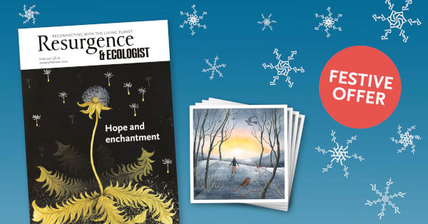 Give a gift of hope and inspiration this Christmas