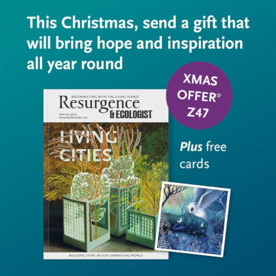 Give a gift of hope and inspiration this Christmas