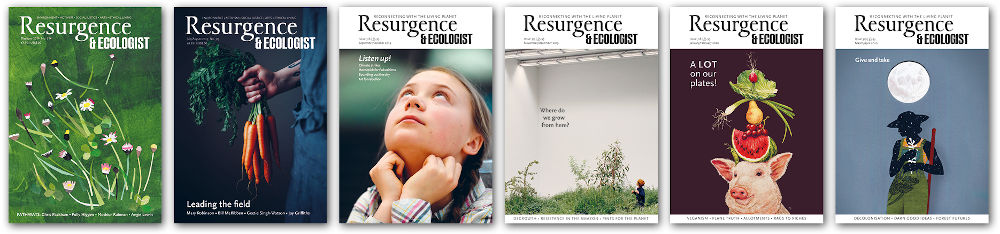 Covers of six back issues of Resurgence & Ecologist magazine