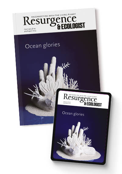Free sample copy