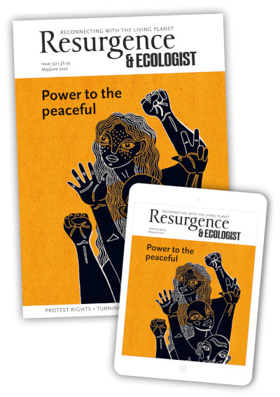 Free sample copy