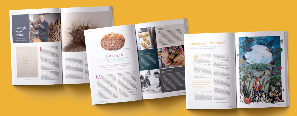 Images from Resurgence and Ecologist Magazine issue 331