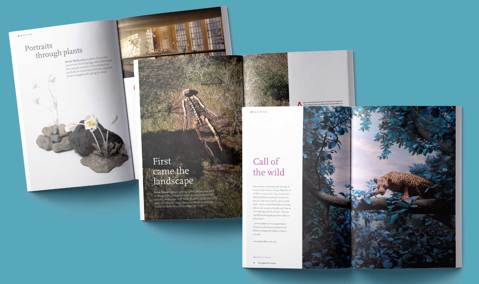 A selection of page spreads from issue 338