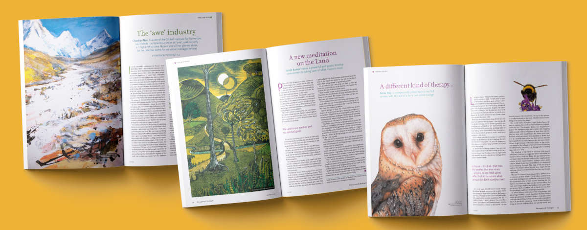 Images from Resurgence and Ecologist Magazine issue 339