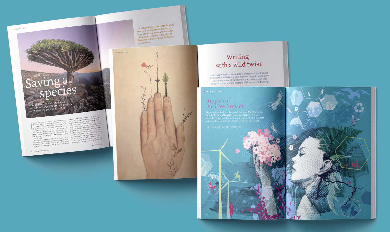 A selection of page spreads from issue 340