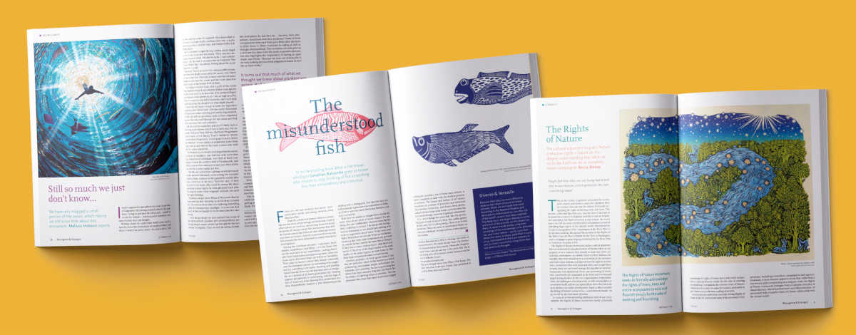 Images from Resurgence and Ecologist Magazine issue 345
