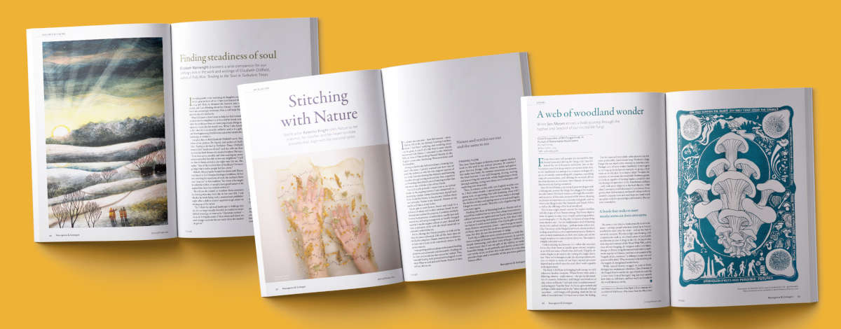 Images from Resurgence and Ecologist Magazine issue 348