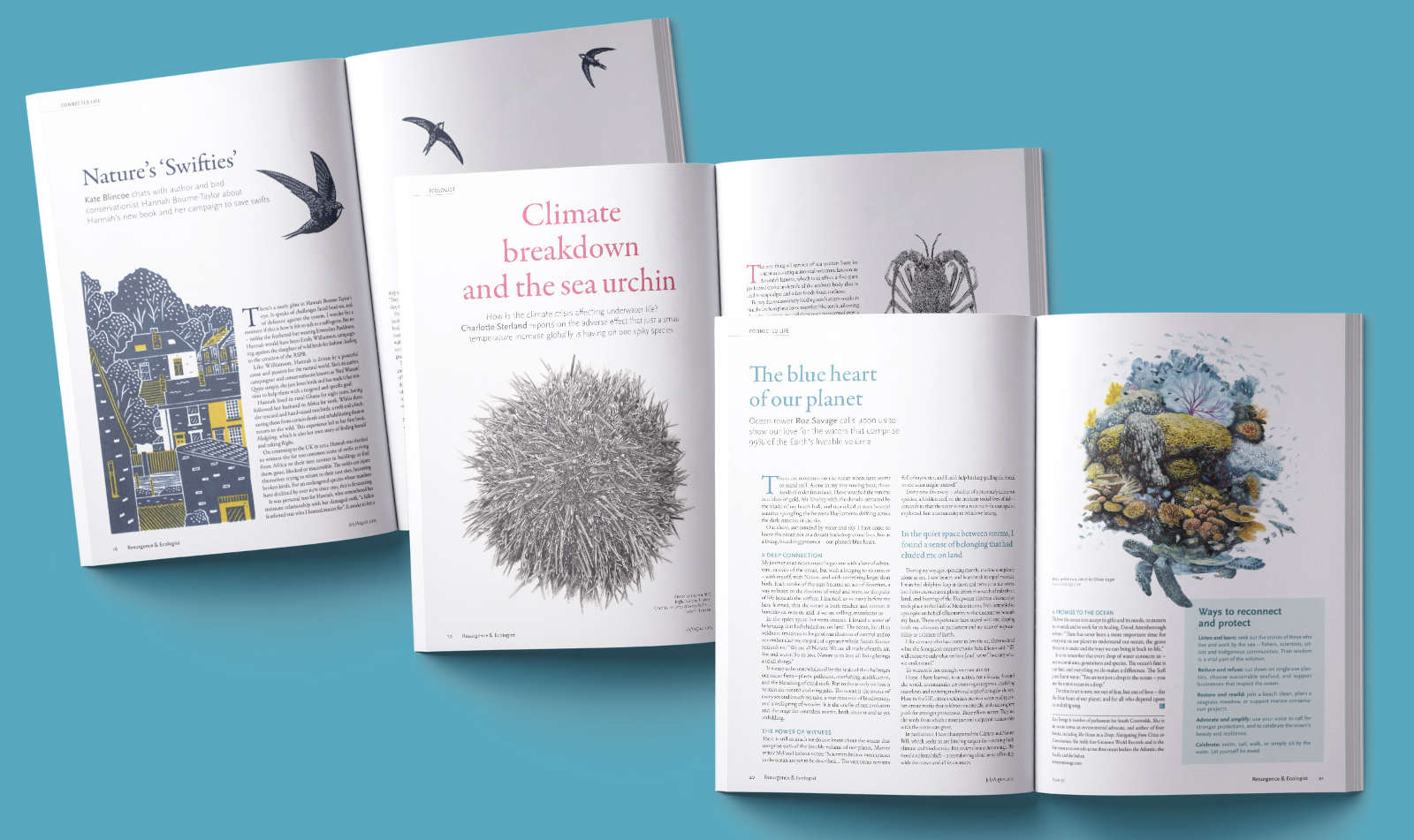 A selection of page spreads from issue 351