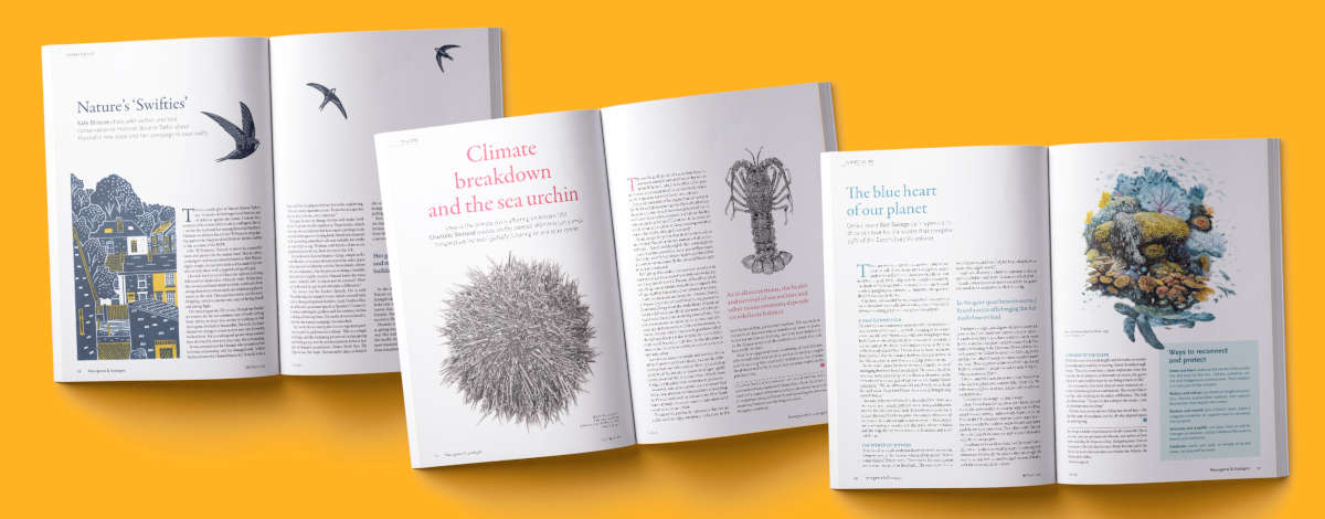 Images from Resurgence and Ecologist Magazine issue 351