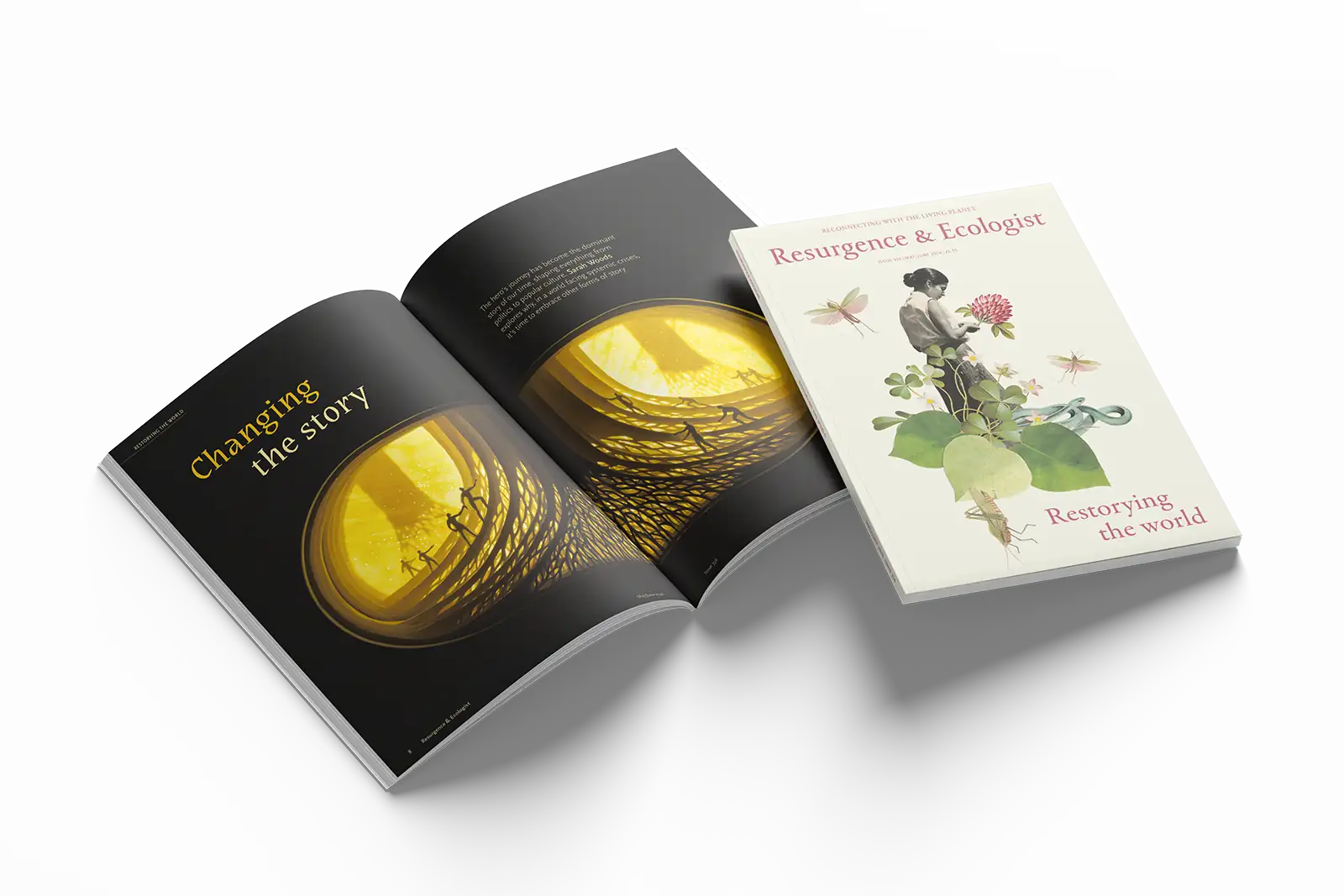 A selection of page spreads from issue 356