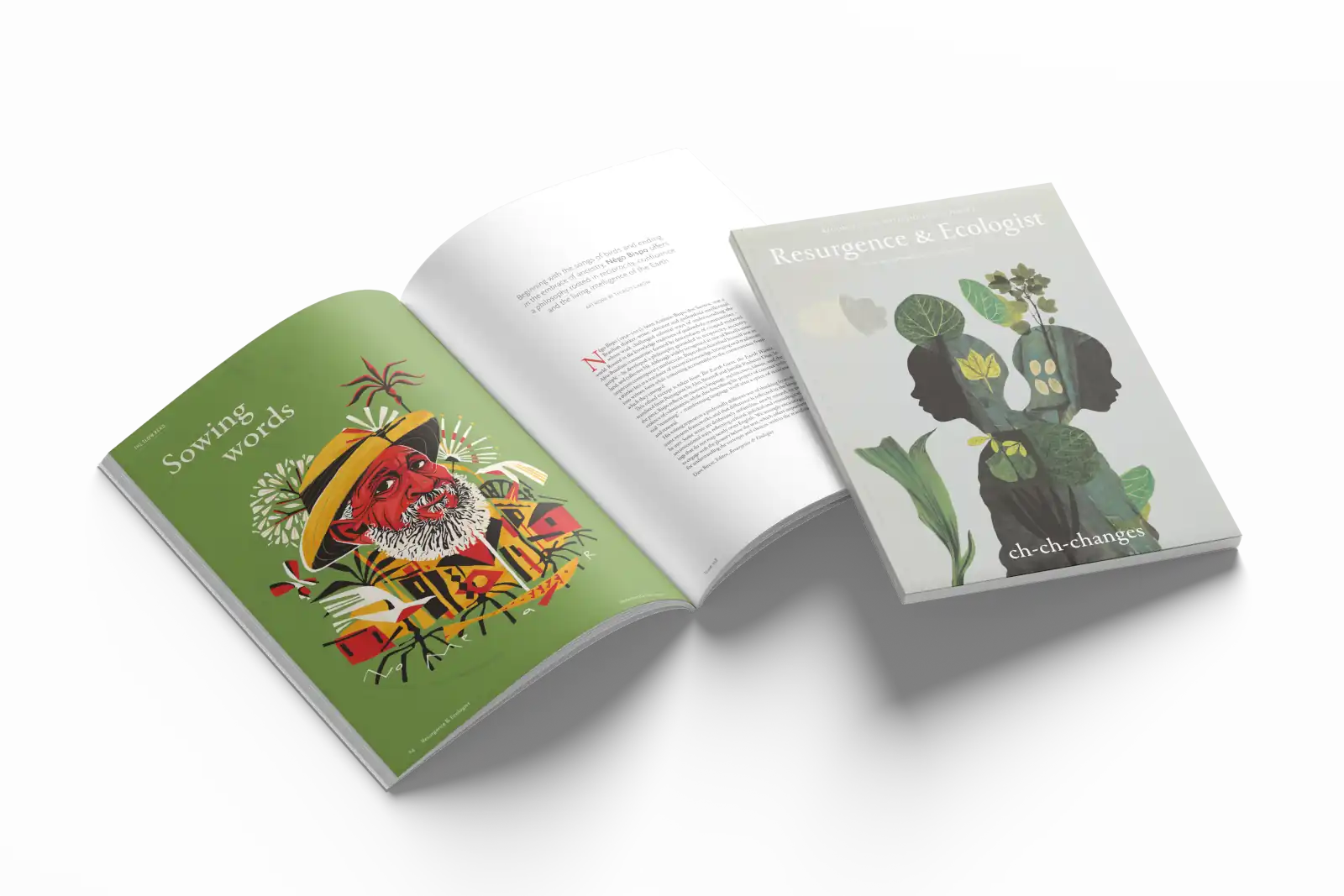 A selection of page spreads from issue 358