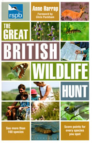 The Great British Wildlife Hunt