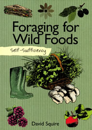 Foraging for Wild Foods