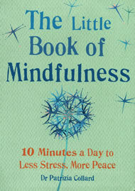 The Little Book of Mindfulness