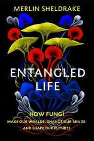 Entangled Life: How Fungi make our Worlds, Change our minds and shape our futures
