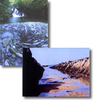 Postcards (pack of 10 mixed)