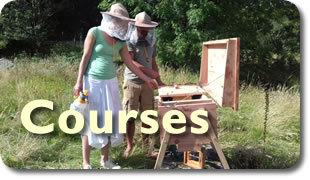 Resurgence Hartland Courses