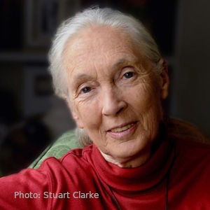 Jane Goodall