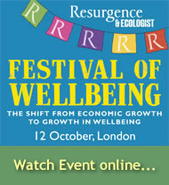 Wellbeing Festival 2013
