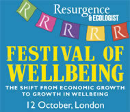 Wellbeing Festival 2013