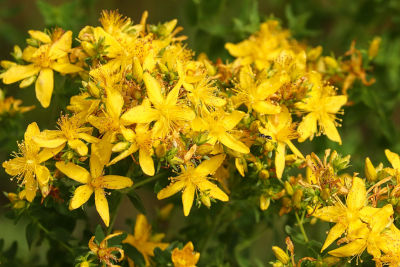 Resurgence Spring Equinox